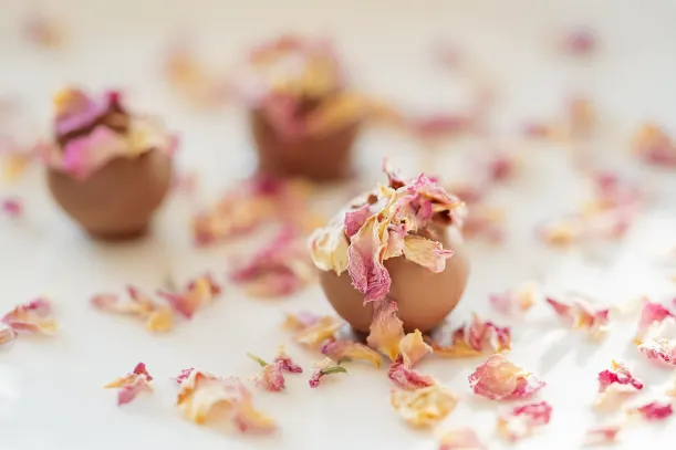 ロットキングス カジノ Android/iOS アプリ